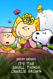 Snoopy przedstawia: Małe rzeczy, duża sprawa, Charlie Brownie